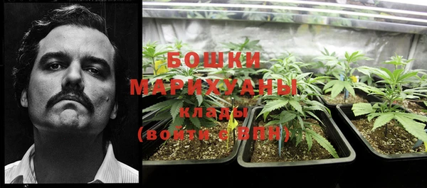 ГАЛЛЮЦИНОГЕННЫЕ ГРИБЫ Армянск