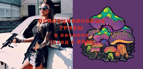 сатива Баксан