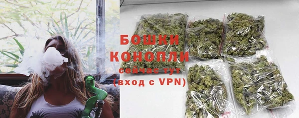 apvp Ростов