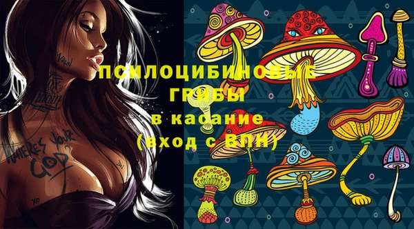 сатива Баксан