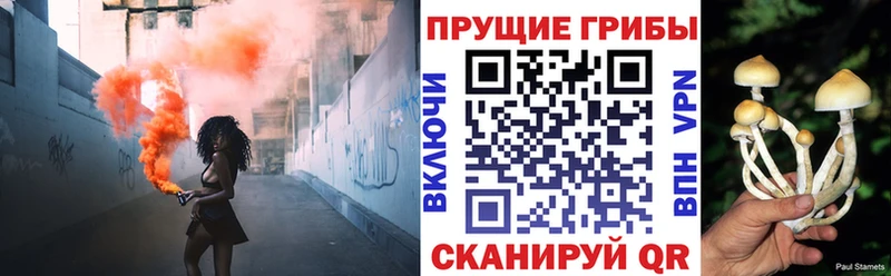 Псилоцибиновые грибы GOLDEN TEACHER как найти darknet официальный сайт Сосенский